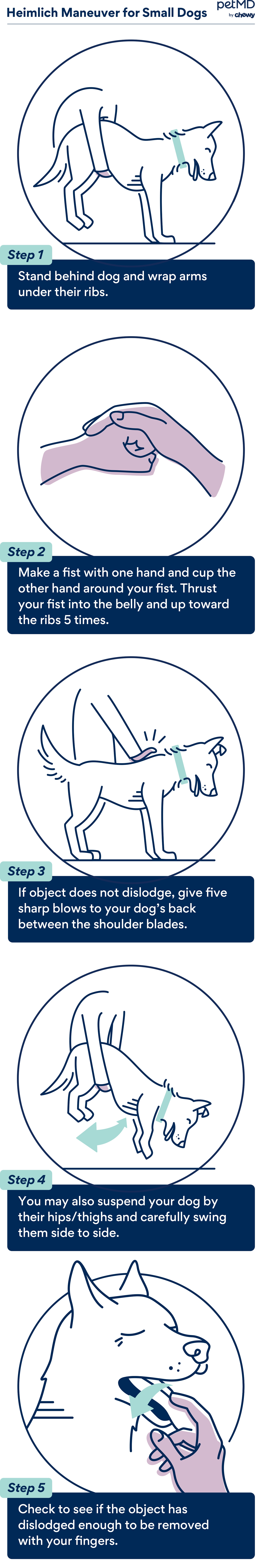 dog heimlich manuever
